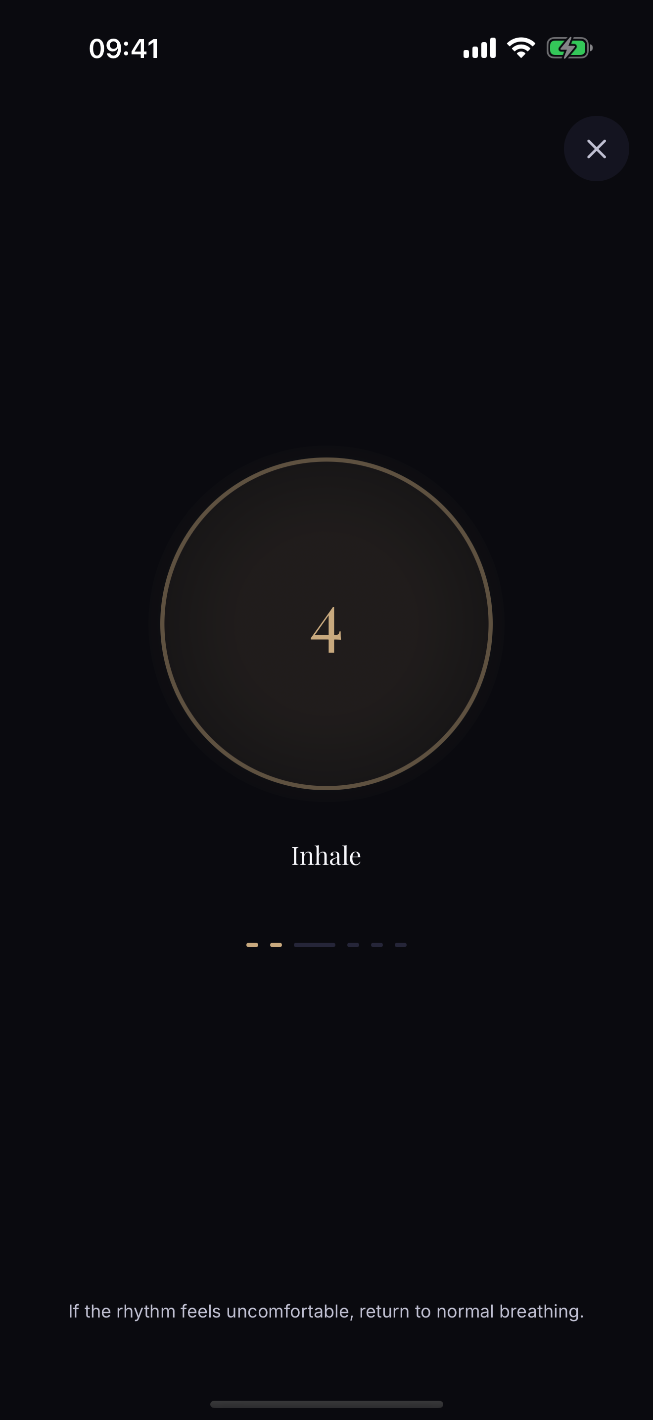 INNR breathing pause with a visual breathing circle and six rounds.